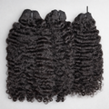 Burmese Curly